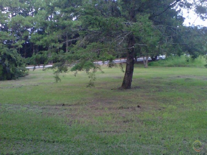 Terreno en Venta - Miniatura 5